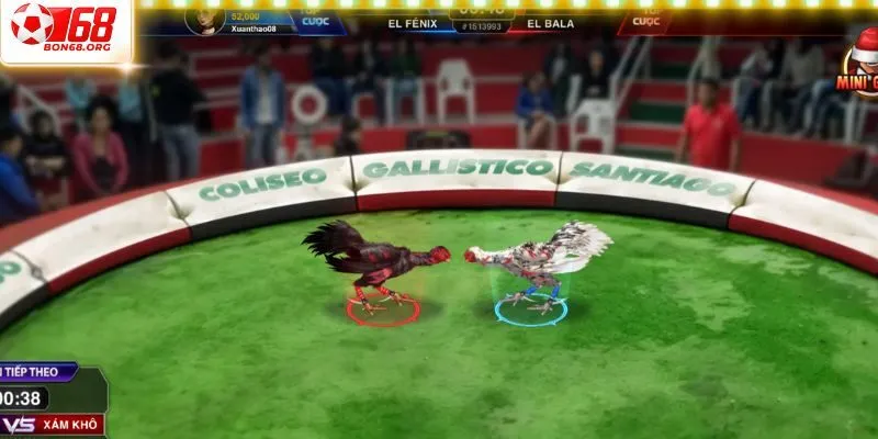 Khái quát tiêu biểu về sảnh đá gà tại bon68